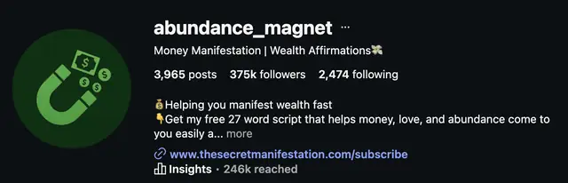 Instagram profile of @abundance_magnet showing 375K followers