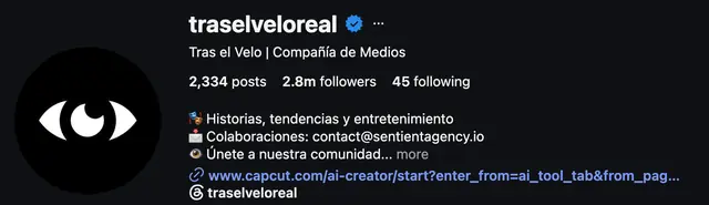 Instagram profile of @traselveloreal showing 2.8M followers